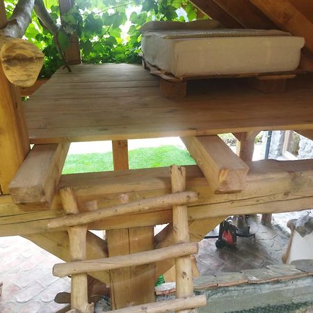 Natur Apartma Rudi Begunje na Gorenjskem Εξωτερικό φωτογραφία