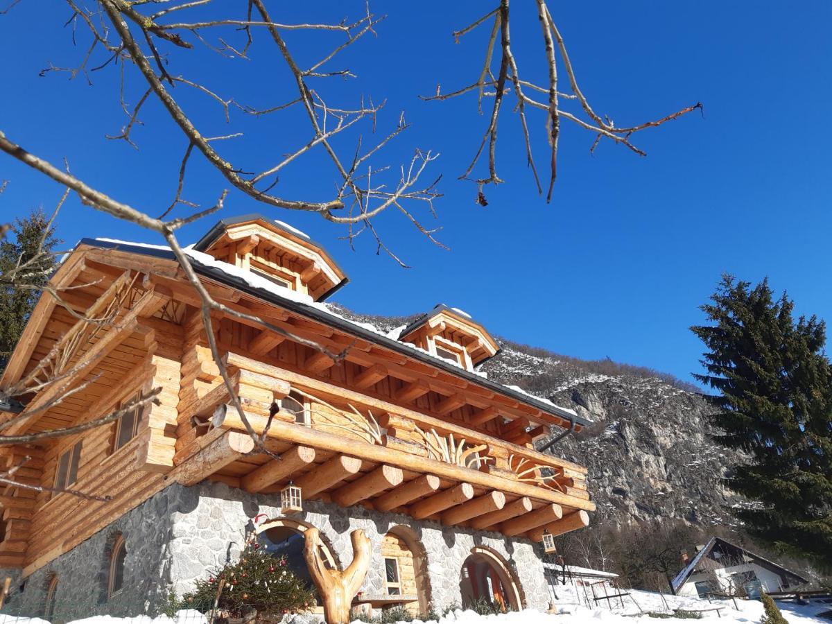 Natur Apartma Rudi Begunje na Gorenjskem Εξωτερικό φωτογραφία