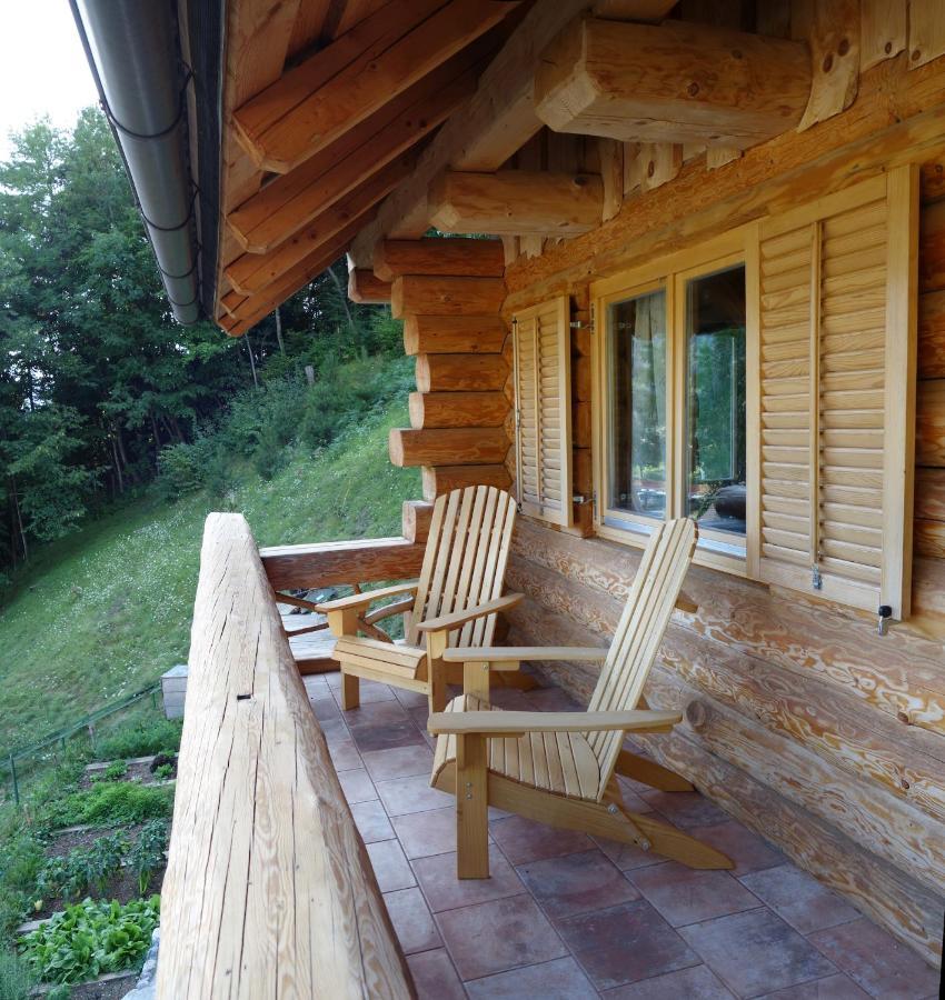 Natur Apartma Rudi Begunje na Gorenjskem Εξωτερικό φωτογραφία
