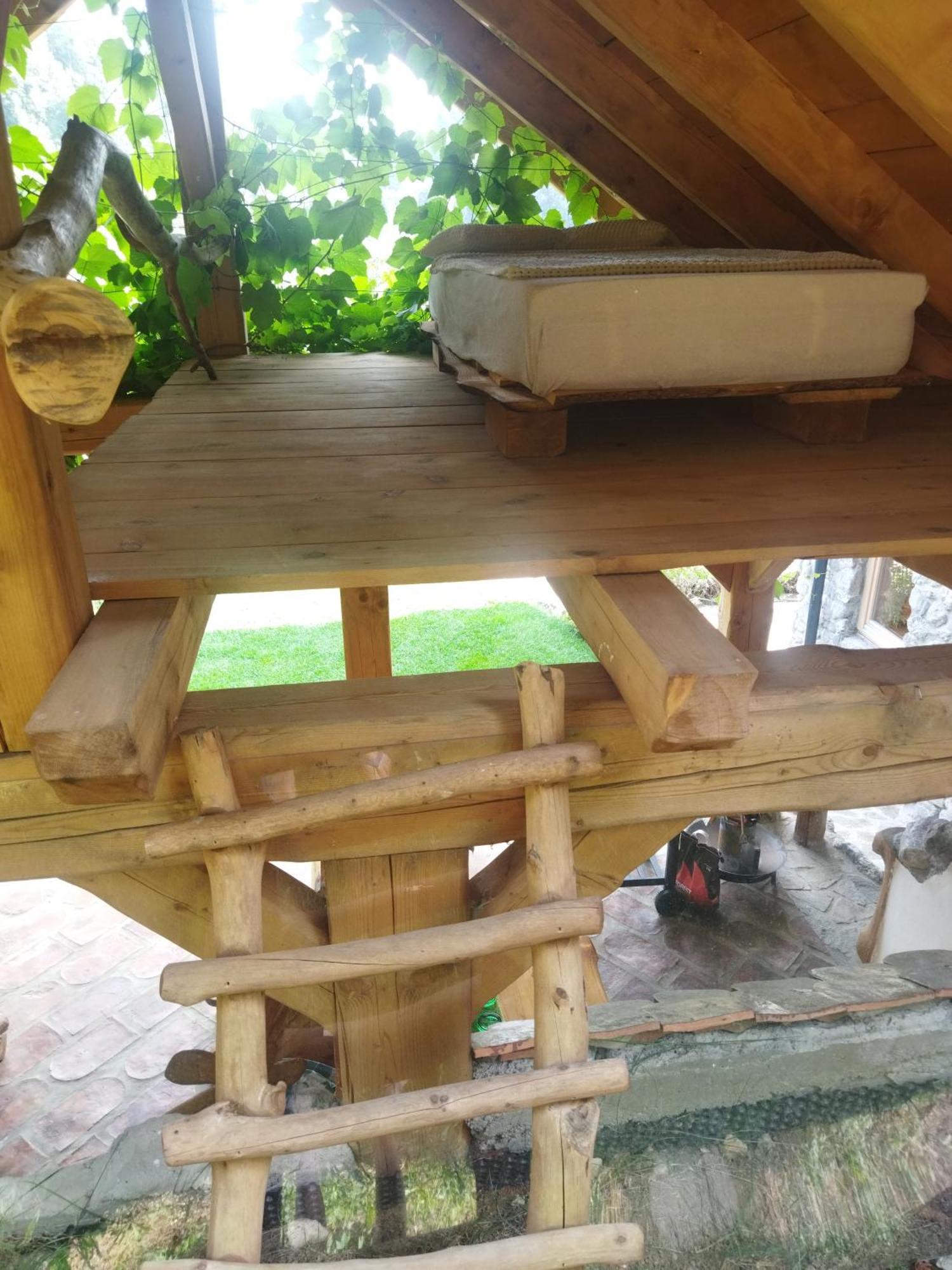 Natur Apartma Rudi Begunje na Gorenjskem Εξωτερικό φωτογραφία